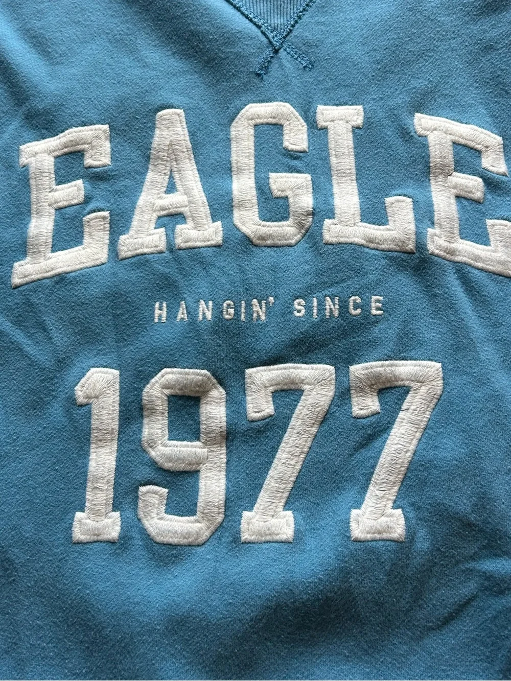 American Eagle Oversized Eagle 1977 Graphic Crewneck Sweatshirt XL